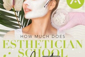 Top Esthetician Schools Las Vegas: 2024 Guide | Best Schools in America: Top Public & Private Options