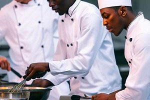 Top 5 Best Schools for Chefs in 2024 | Best Schools in America: Top Public & Private Options