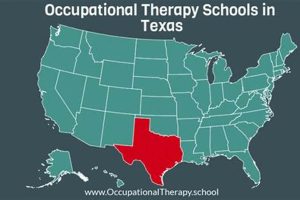 Top Occupational Therapy Schools in Texas: 2024 Guide | Best Schools in America: Top Public & Private Options