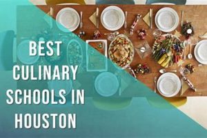 Top 5 Culinary Schools in Houston: 2024 Guide Best Schools in America: Top Public & Private Options Top 5 Culinary Schools in Houston: 2024 Guide | Best Schools in America: Top Public & Private Options