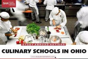 Top 10 Culinary Schools in Ohio: 2024 Guide | Best Schools in America: Top Public & Private Options