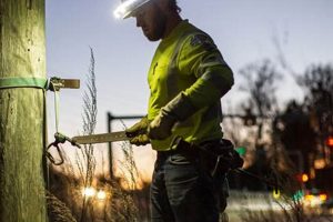 Top 5 Lineman Schools in the US: 2024 Rankings | Best Schools in America: Top Public & Private Options