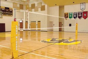 Official High School Volleyball Net: Setup & Specs | Best Schools in America: Top Public & Private Options