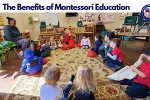 Montessori Elementary Schools Near Me | Best Schools in America: Top Public & Private Options
