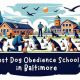 Top 5 Best Dog Obedience Schools Near You | Best Schools in America: Top Public & Private Options