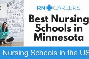 Top 10 Nursing Schools in Minnesota 2024 | Best Schools in America: Top Public & Private Options