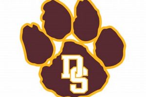 Dripping Springs HS Football: A Texas Gridiron Legacy Best Schools in America: Top Public & Private Options Dripping Springs HS Football: A Texas Gridiron Legacy | Best Schools in America: Top Public & Private Options
