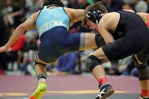 Top High School Wrestling Rankings (2024-25) | Best Schools in America: Top Public & Private Options