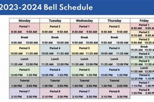 High School Open Periods: A Student's Guide | Best Schools in America: Top Public & Private Options