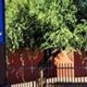 Toltec Elementary School | Best Schools in America: Top Public & Private Options