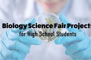 Is High School Biology Hard | Best Schools in America: Top Public & Private Options