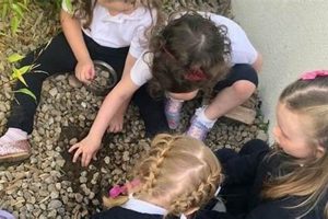 Top Bay Area Montessori Schools: A Parent's Guide Best Schools in America: Top Public & Private Options Top Bay Area Montessori Schools: A Parent's Guide | Best Schools in America: Top Public & Private Options