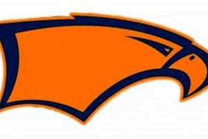 Top-Ranked Briar Woods High School Football Team | Best Schools in America: Top Public & Private Options