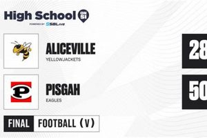 Aliceville High Football: 2024 Schedule & Tickets | Best Schools in America: Top Public & Private Options