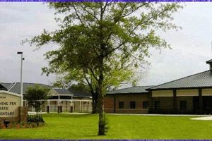 Swim Lessons at Pen Creek Elementary | Private School | Best Schools in America: Top Public & Private Options