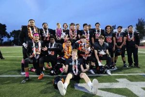 Woodside High Football: Home of Wildcats | Best Schools in America: Top Public & Private Options