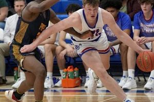 WI High School Basketball Playoffs Guide | Best Schools in America: Top Public & Private Options