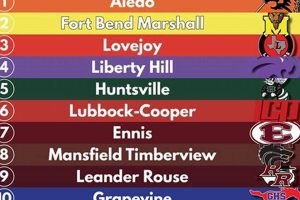 Top Texas HS Football 4A D2 Rankings & Scores | Best Schools in America: Top Public & Private Options