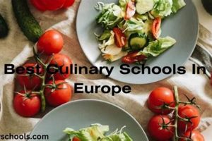 Top 10 Best Culinary Schools in Europe 2024 Best Schools in America: Top Public & Private Options Top 10 Best Culinary Schools in Europe 2024 | Best Schools in America: Top Public & Private Options