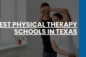 Top Physical Therapy Schools in Houston, TX | Best Schools in America: Top Public & Private Options