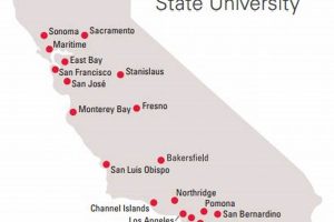 Top 10 Best California State Schools & Colleges Best Schools in America: Top Public & Private Options Top 10 Best California State Schools & Colleges | Best Schools in America: Top Public & Private Options