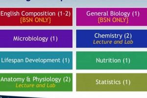 Top Online Nursing Prerequisite Courses &amp; Schools | Best Schools in America: Top Public & Private Options