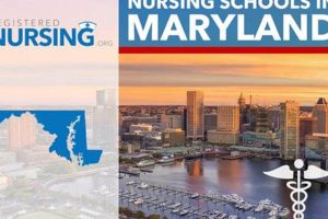 Top 10 Best Nursing Schools in Maryland 2024 | Best Schools in America: Top Public & Private Options