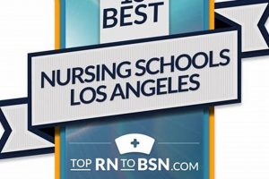 Top Best Nursing Schools (BSN) Programs | Best Schools in America: Top Public & Private Options