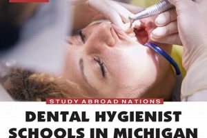 Top Dental Hygienist Schools in Michigan 2024 | Best Schools in America: Top Public & Private Options