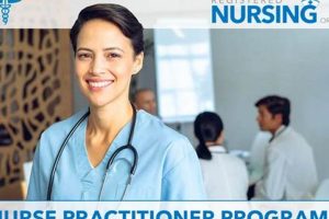 Top 10 Best Nurse Practitioner Schools & Programs | Best Schools in America: Top Public & Private Options