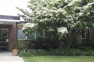 Top-Rated Fiske Elementary School: A Guide | Best Schools in America: Top Public & Private Options