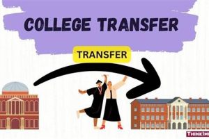 High School Spanish to College: Does it Transfer? Best Schools in America: Top Public & Private Options High School Spanish to College: Does it Transfer? | Best Schools in America: Top Public & Private Options