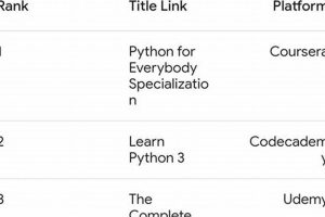 Top 10 Best Programming Schools: 2024 Guide | Best Schools in America: Top Public & Private Options