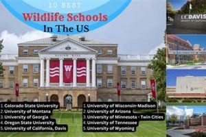 Top 10 Best Biology Schools in the US 2024 | Best Schools in America: Top Public & Private Options