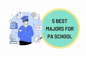 Top Undergraduate Majors for PA School Success | Best Schools in America: Top Public & Private Options