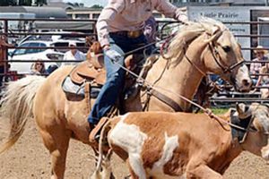SD High School Rodeo Draw 2024: Official Results | Best Schools in America: Top Public & Private Options