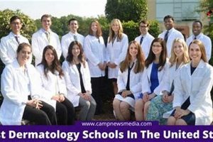 Best Dermatology Schools In Us | Best Schools in America: Top Public & Private Options