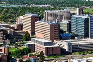 Top Medical Schools in Colorado: 2024 Guide Best Schools in America: Top Public & Private Options Top Medical Schools in Colorado: 2024 Guide | Best Schools in America: Top Public & Private Options
