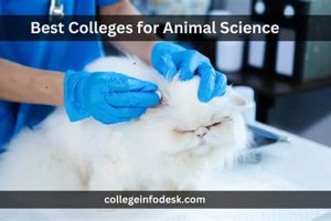 Top 10 Best Schools for Animal Science Degrees 2024 | Best Schools in America: Top Public & Private Options