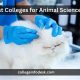 Top 10 Best Schools for Animal Science Degrees 2024 | Best Schools in America: Top Public & Private Options