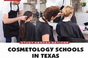 Top 10 Cosmetology Schools in Texas 2024 | Best Schools in America: Top Public & Private Options