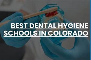 Top Dental Hygiene Schools in Colorado: 2024 Guide | Best Schools in America: Top Public & Private Options