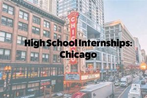 Top High School Internships Chicago Programs | Best Schools in America: Top Public & Private Options