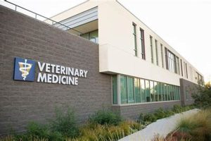 Top 10 Best Veterinary Schools: 2024 Rankings | Best Schools in America: Top Public & Private Options