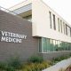 Top 10 Best Veterinary Schools: 2024 Rankings | Best Schools in America: Top Public & Private Options