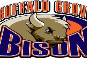 Top Buffalo Grove High School Football News & Scores | Best Schools in America: Top Public & Private Options