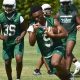 Aiken High School Football: Home of the Hornets | Best Schools in America: Top Public & Private Options