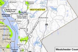 Top Driving Schools in Westchester County, NY | Best Schools in America: Top Public & Private Options