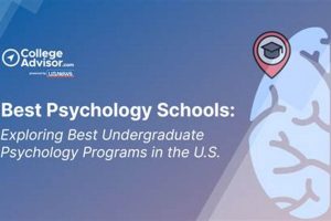 Top 10 Best Schools of Psychology in the US | Best Schools in America: Top Public & Private Options