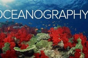 Top 10 Best Schools for Oceanography Programs 2024 | Best Schools in America: Top Public & Private Options